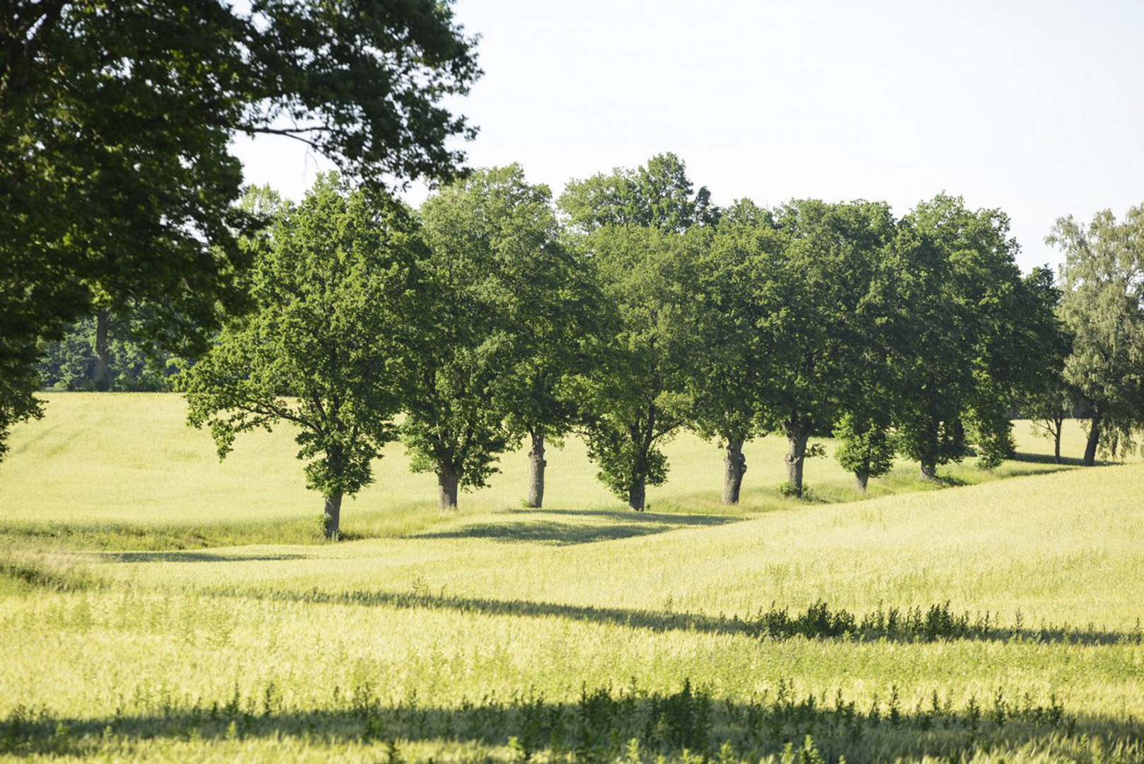 srebrny-klon-pensjonat-kaszuby-salon-1